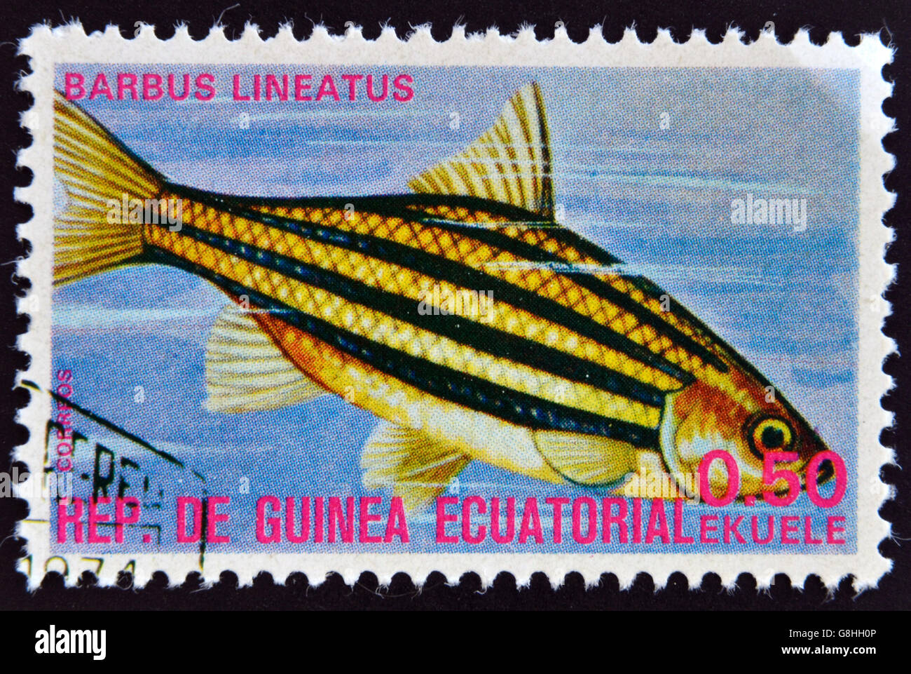 EQUATORIAL GUINEA - CIRCA 1974: A stamp printed in Guinea Ecuatorial dedicated to exotic fish shows barbus lineatus, circa 1974. Stock Photo