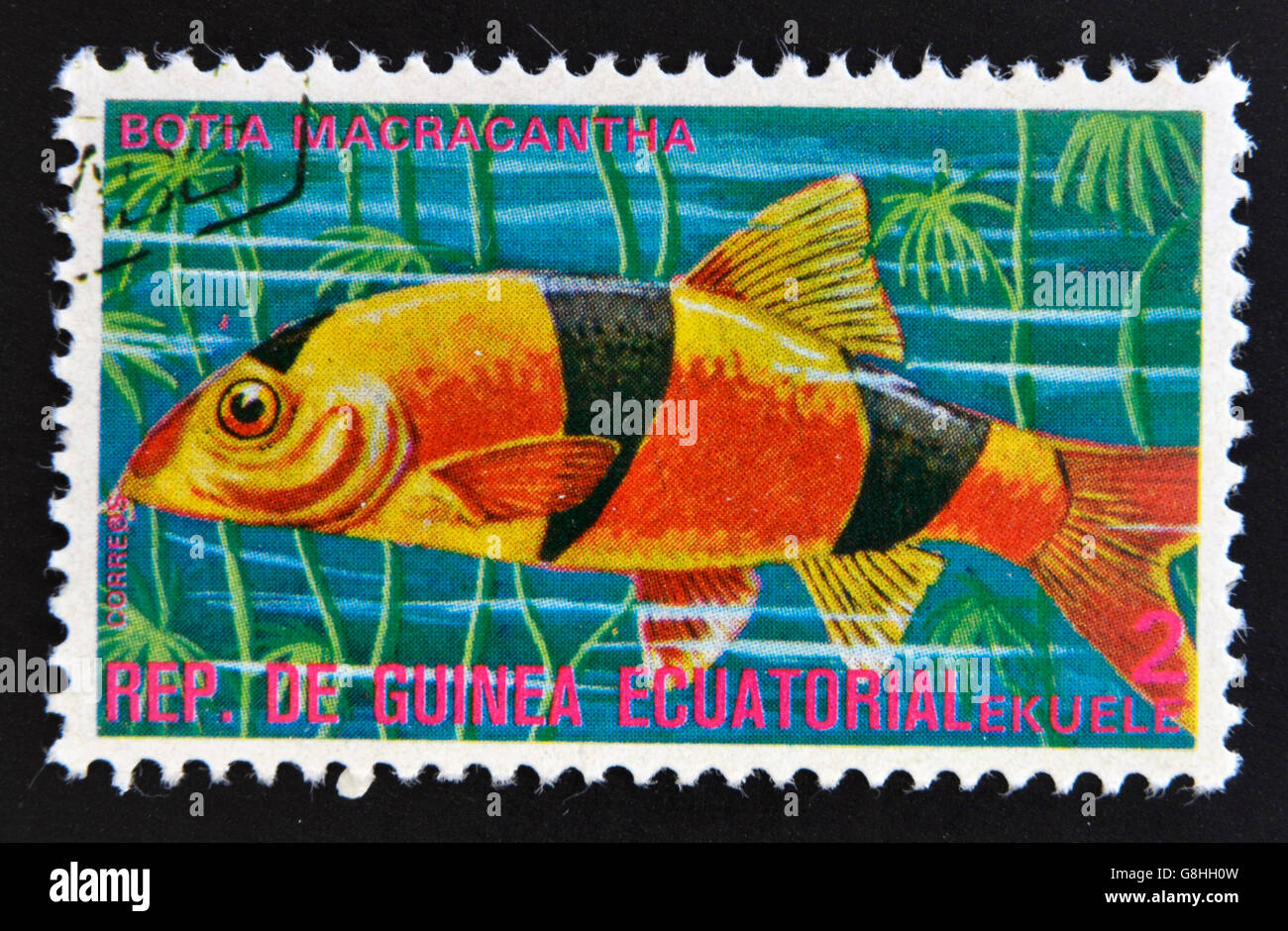 EQUATORIAL GUINEA - CIRCA 1974: A stamp printed in Guinea Ecuatorial dedicated to exotic fish shows botia macracantha, circa 197 Stock Photo