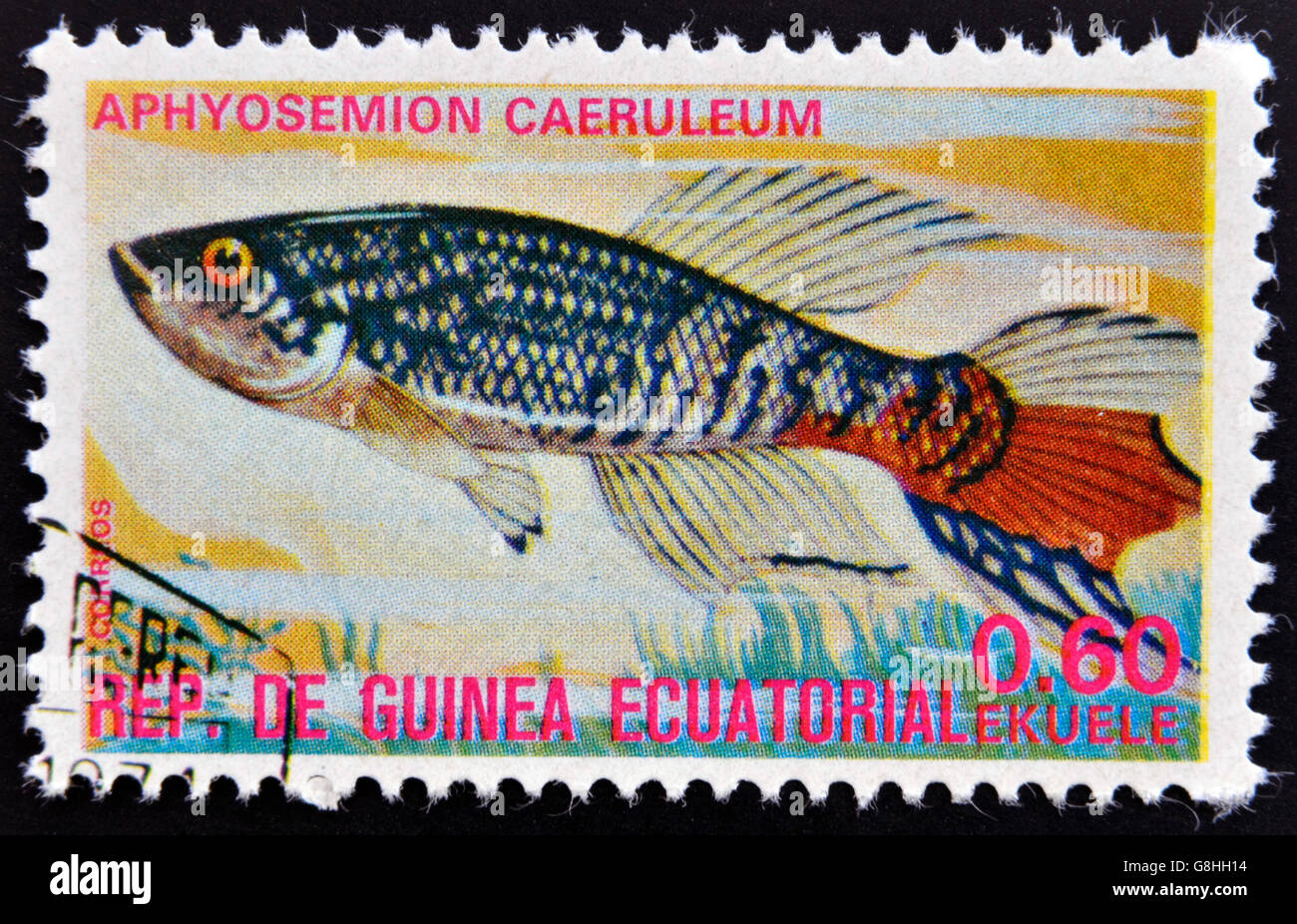 EQUATORIAL GUINEA - CIRCA 1974: A stamp printed in Guinea Ecuatorial dedicated to exotic fish shows aphyosemion caeruleum, circa Stock Photo