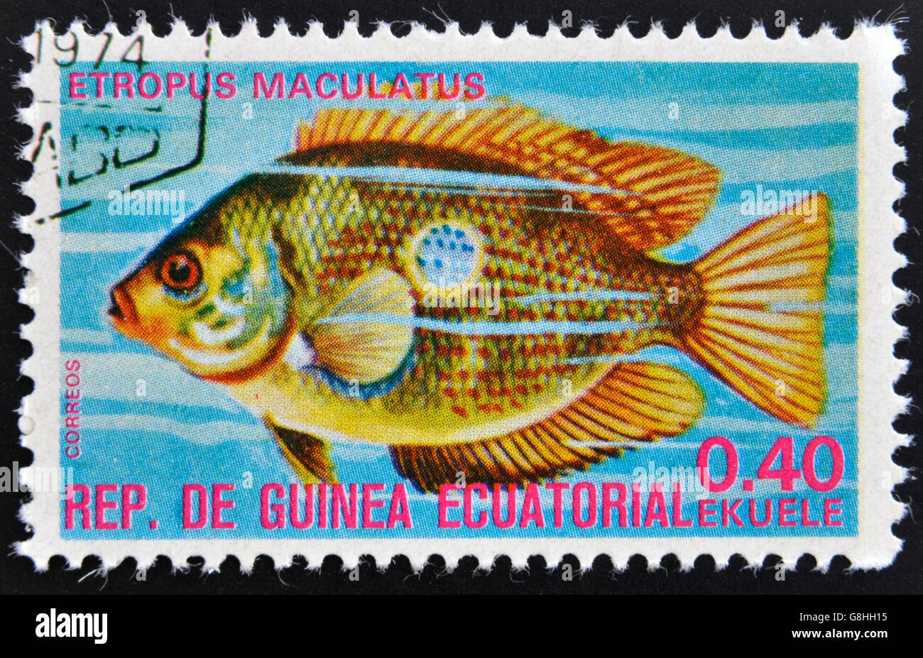 EQUATORIAL GUINEA - CIRCA 1974: A stamp printed in Guinea Ecuatorial dedicated to exotic fish shows etropus maculatus, circa 197 Stock Photo