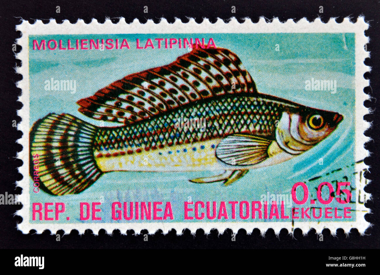 EQUATORIAL GUINEA - CIRCA 1974: A stamp printed in Guinea Ecuatorial dedicated to exotic fish shows mollienisia latipinna, circa Stock Photo