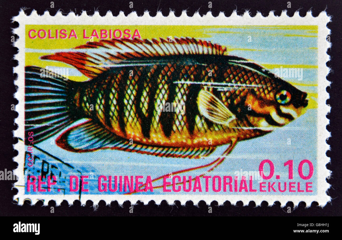 EQUATORIAL GUINEA - CIRCA 1974: A stamp printed in Guinea Ecuatorial dedicated to exotic fish shows colisa labiosa, circa 1974. Stock Photo