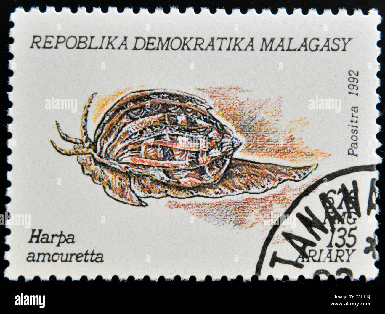MADAGASCAR - CIRCA 1992: A stamp printed in Madagacar shows harpa amouretta, circa 1992 Stock Photo
