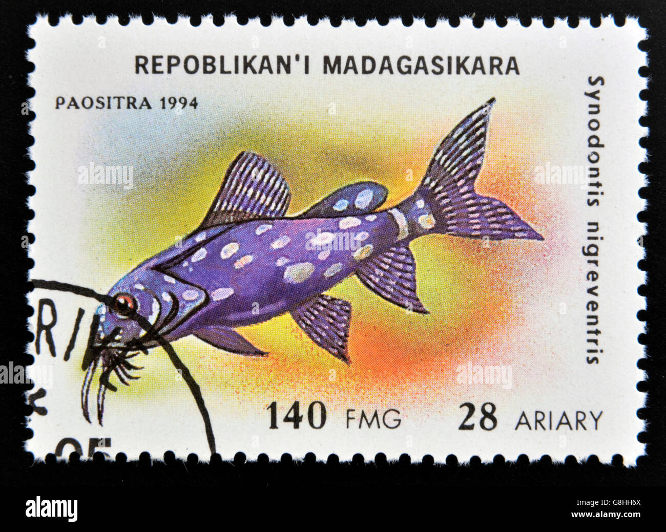 MADAGASCAR - CIRCA 1994: stamp printed in Madagascar dedicated to fish shows synodontis nigreventris, circa 1994 Stock Photo