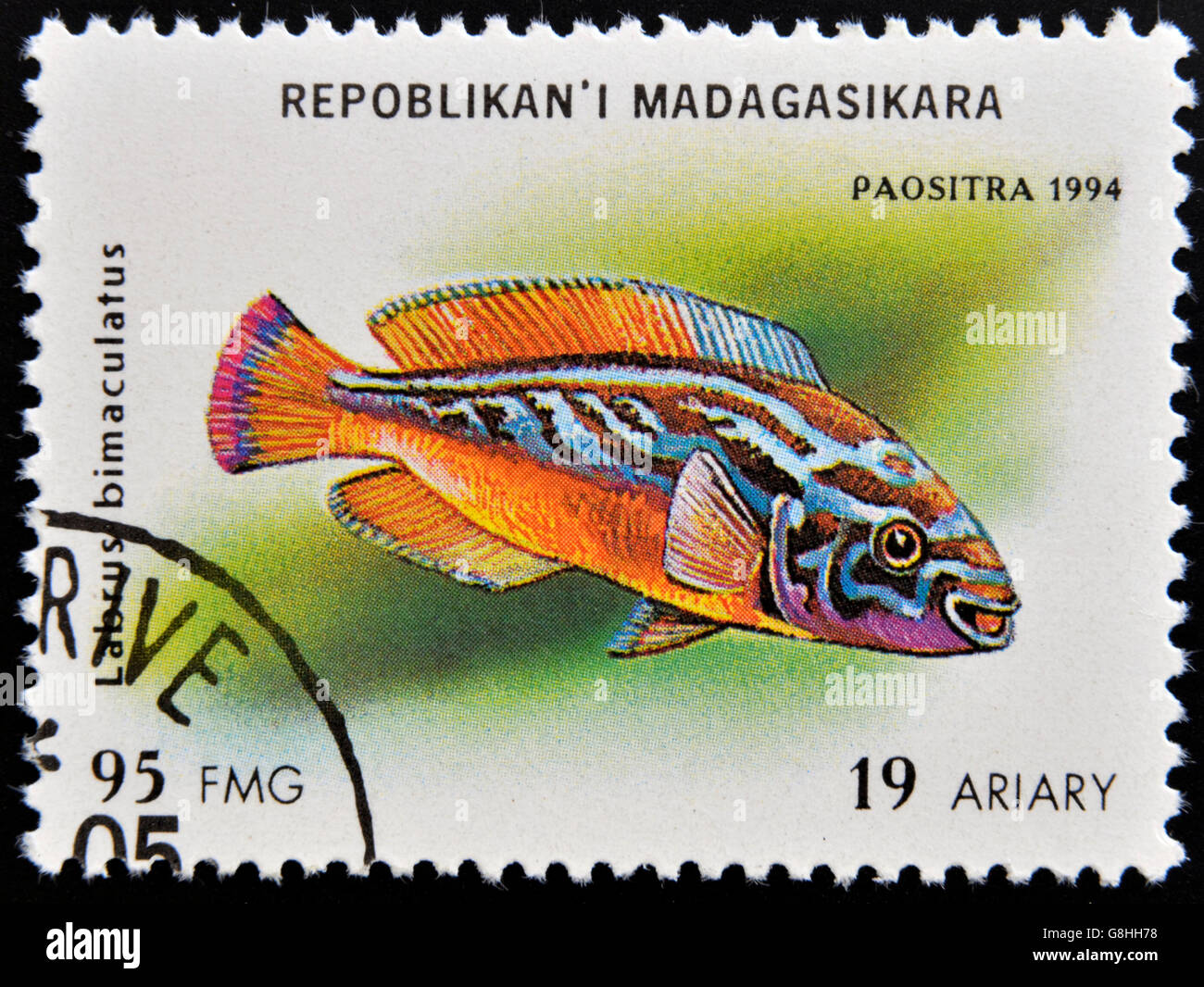MADAGASCAR - CIRCA 1994: stamp printed in Madagascar dedicated to fish shows labrus bimaculatus, circa 1994 Stock Photo