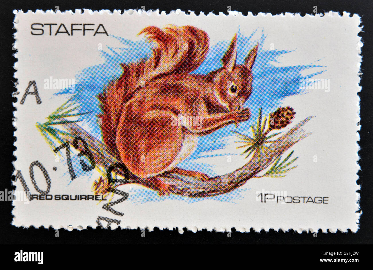 STAFFA - CIRCA 1973: stamp printed in Staffa shows red squirrel, circa 1973 Stock Photo