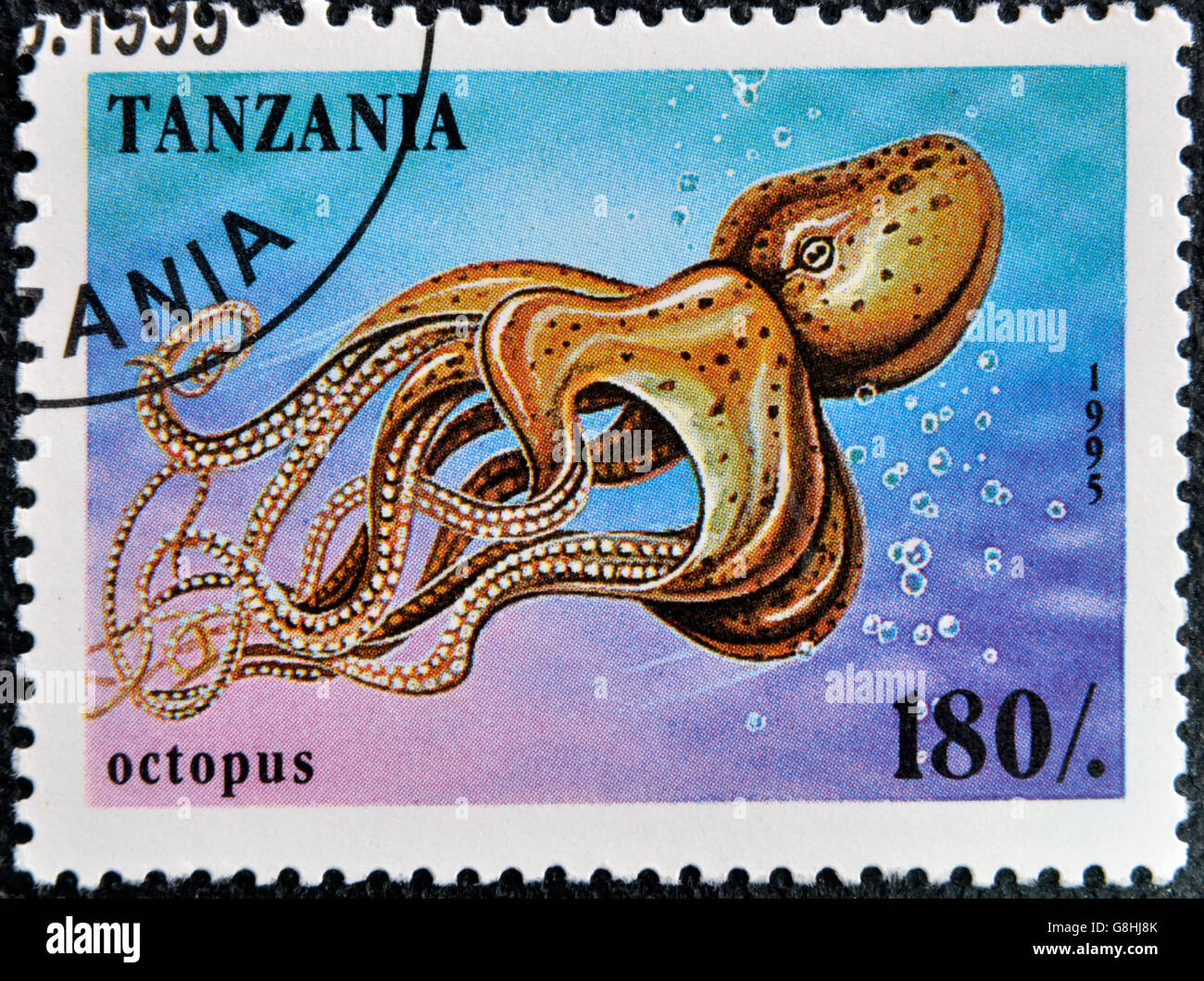 TANZANIA - CIRCA 1995: A stamp printed in Tanzania showing Octopus, circa 1995 Stock Photo