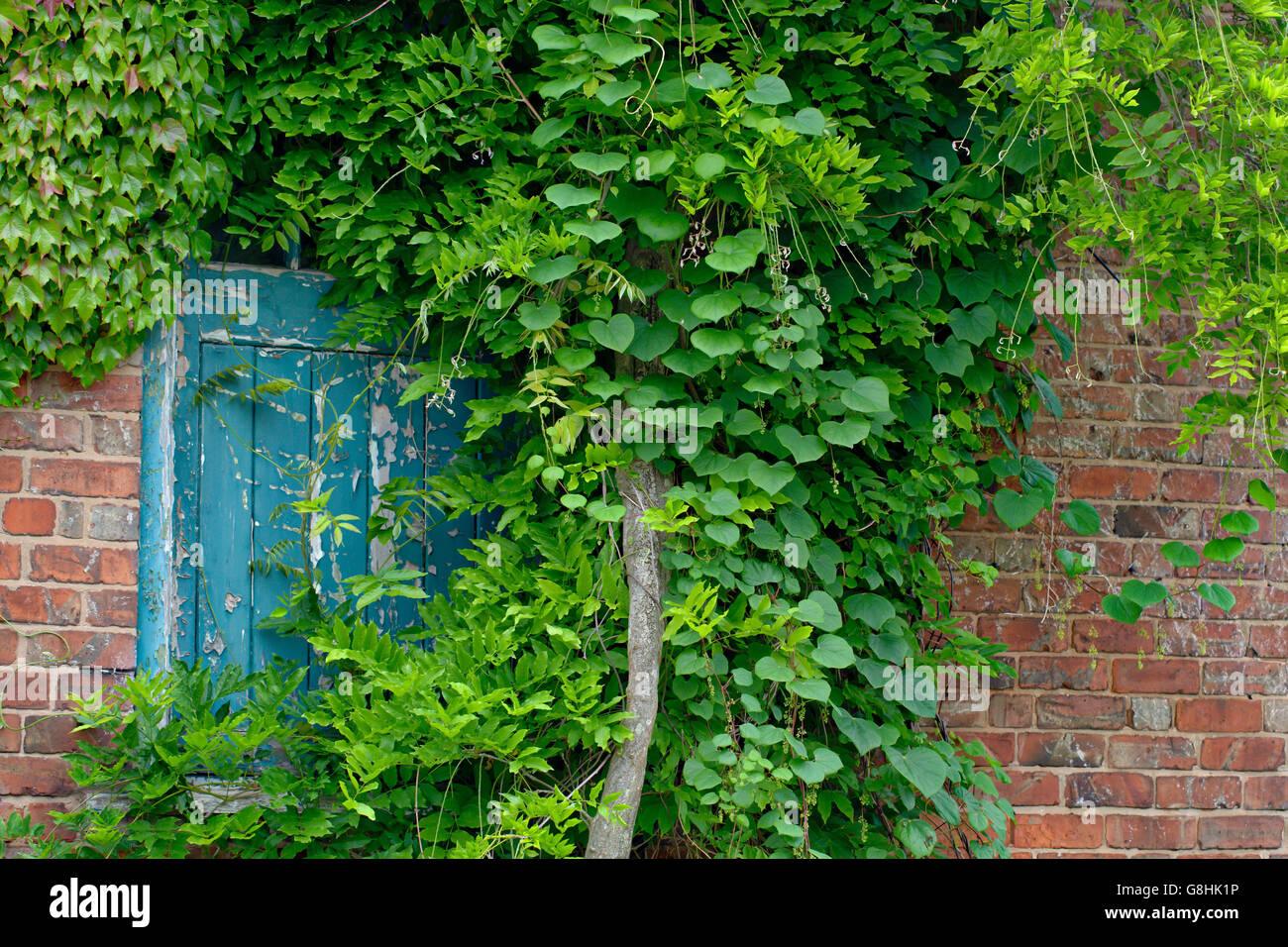 Hidden door at Ness Gardens Stock Photo