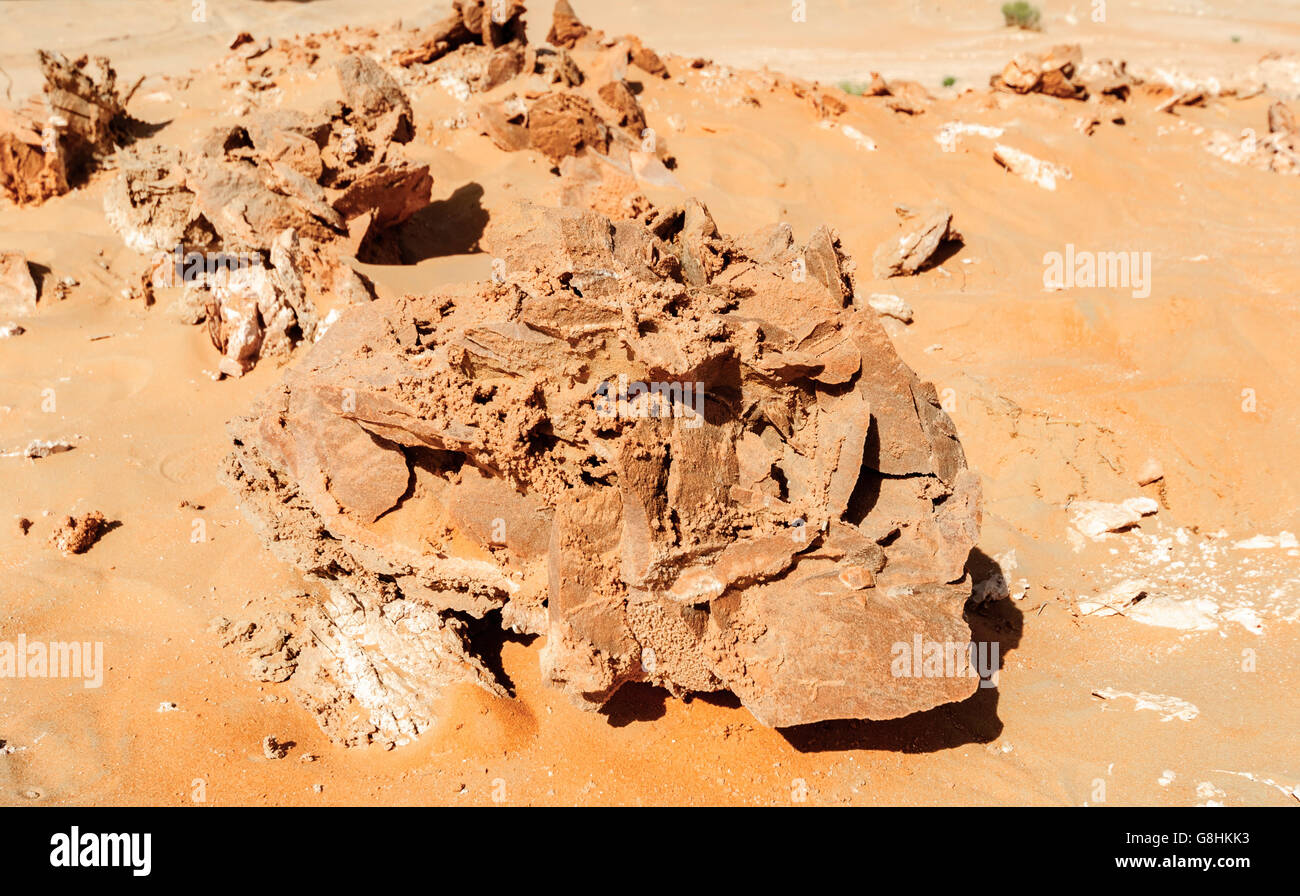 Sand Rose found in the desert of ABU DHABI, UNITED ARAB EMIRATES Stock Photo