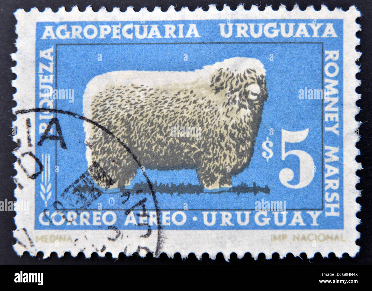 URUGUAY - CIRCA 1967: stamp printed in Uruguay shows Romney Marsh sheep ...