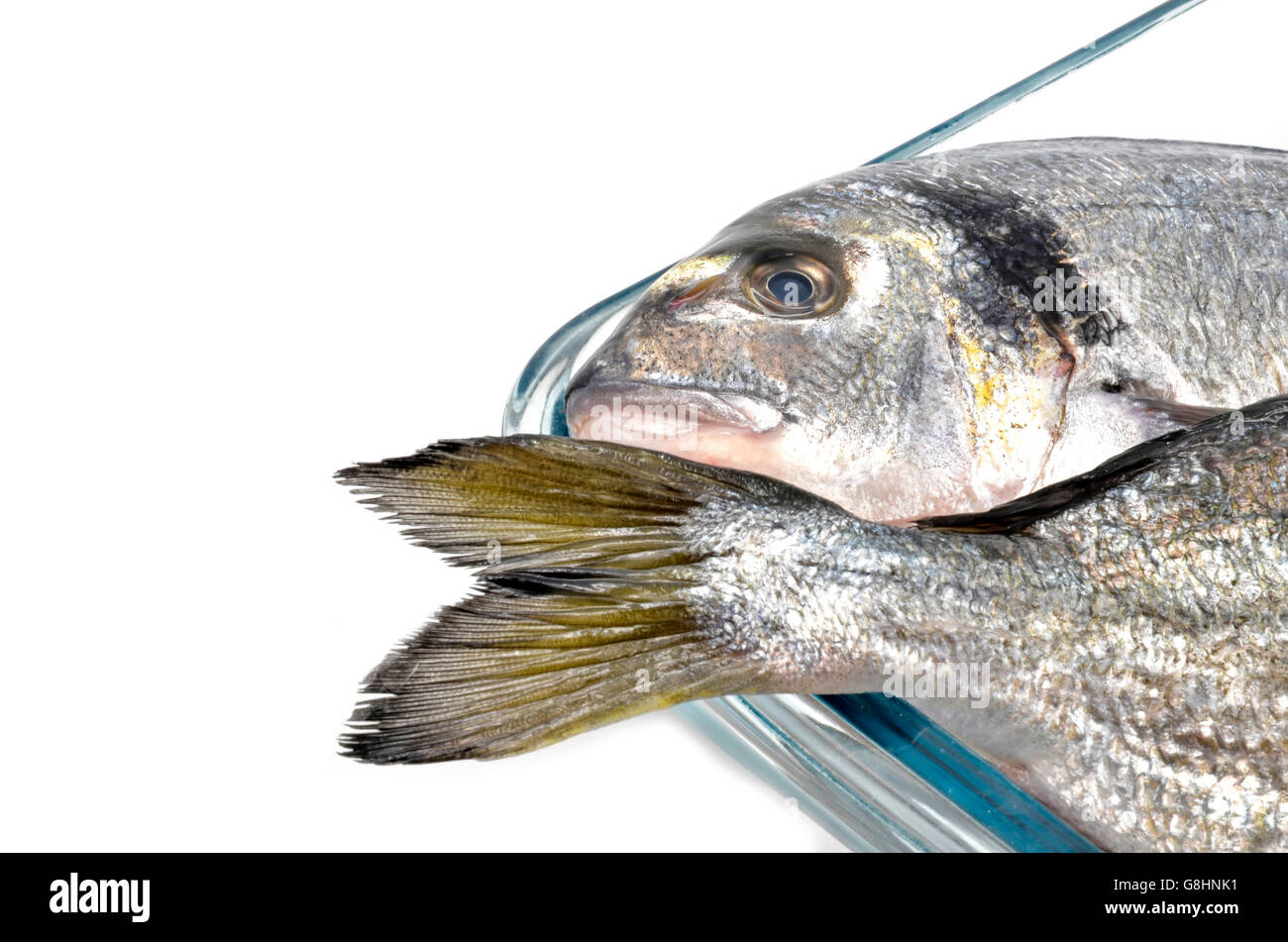 golden fish head and tail Stock Photo Alamy