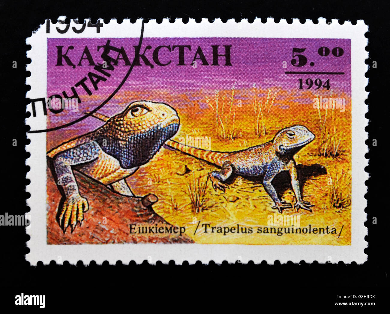 KAZAKHSTAN - CIRCA 1994: A post stamp printed in Kazakhstan shows lizard, circa 1994 Stock Photo