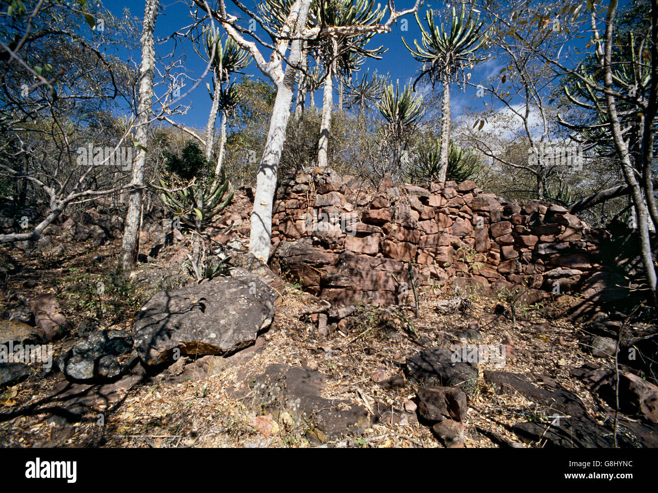 Old Venda wall, Limpopo, South Africa. Stock Photo