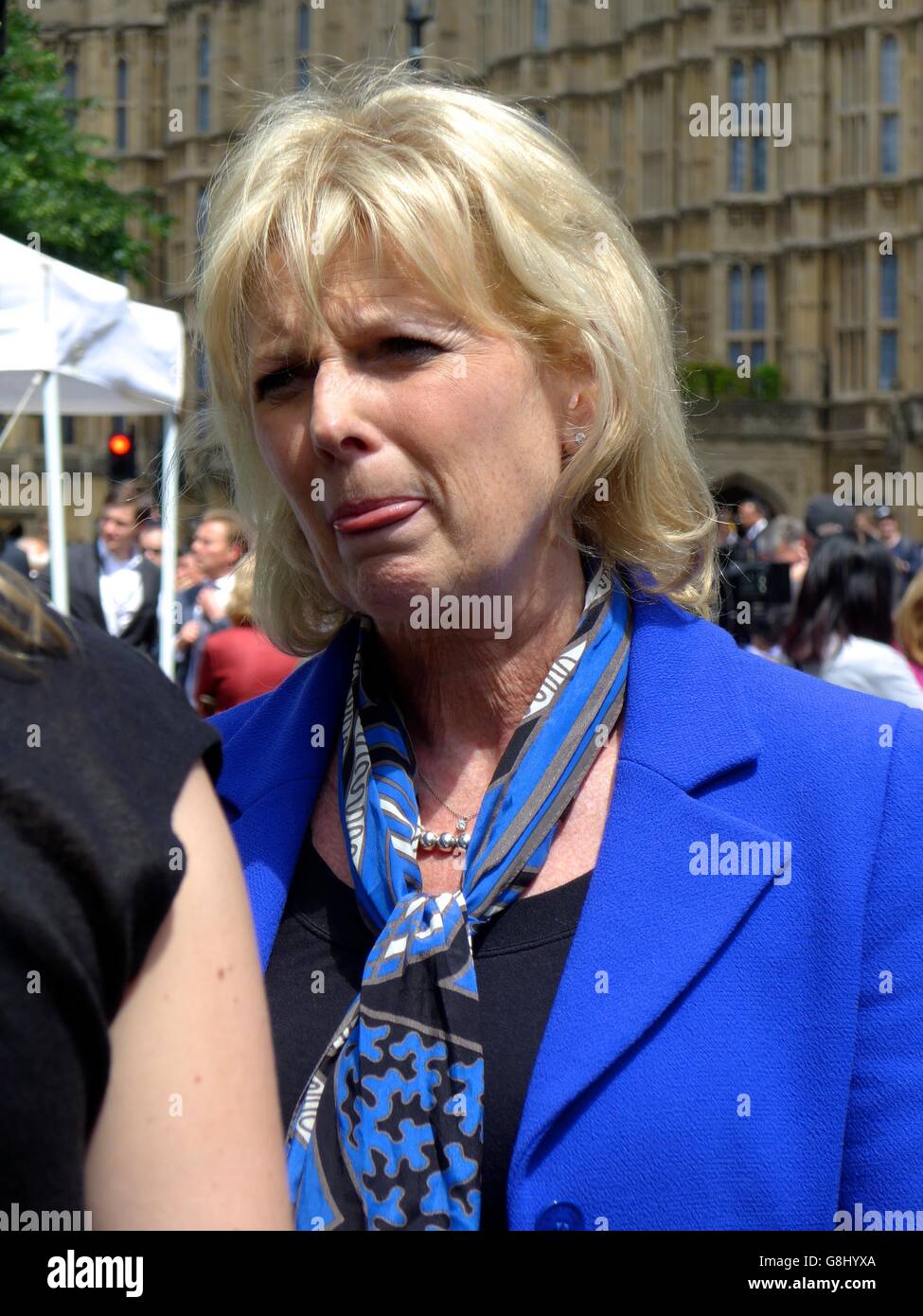 Anna soubry mp hi-res stock photography and images - Alamy
