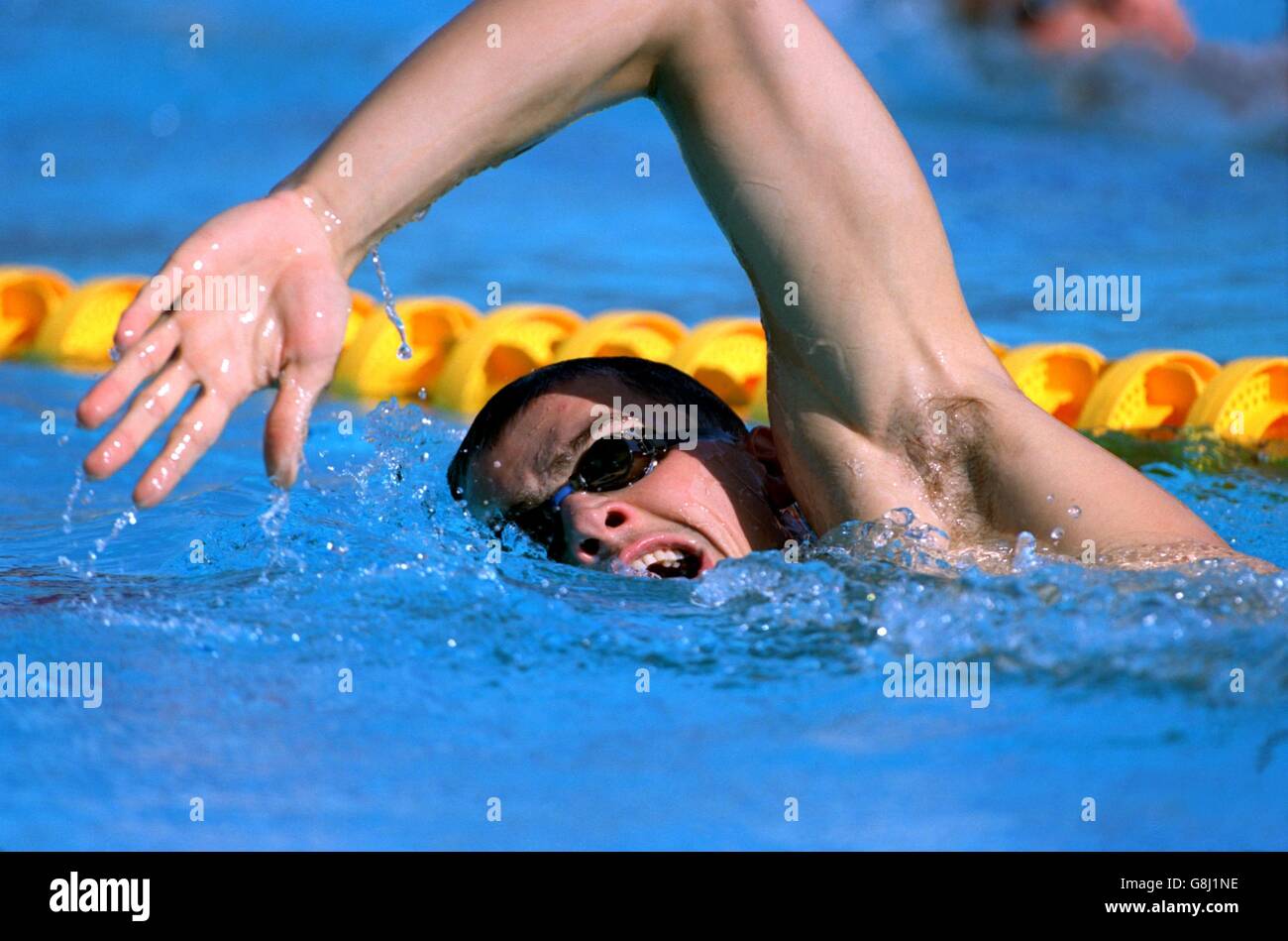 European Swimming Championships,Sevilla Stock Photo Alamy