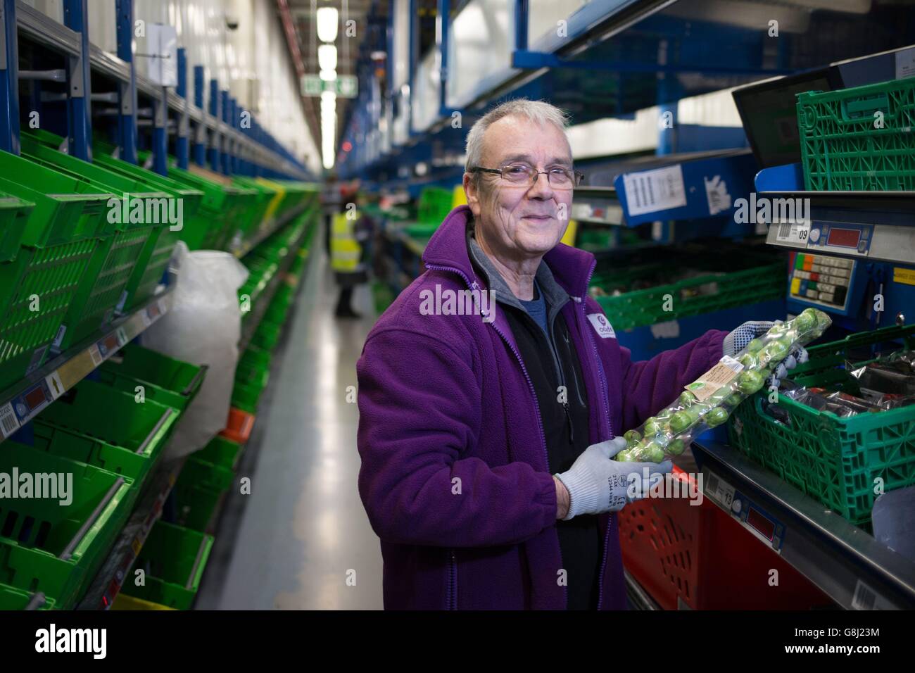 A staff member packs sprouts in Ocado's Customer Fulfilment Centre in Hatfield, which over the Christmas period this year expects to handle 1.5 million mince pies (enough to line the route of the London Marathon), over 2.5 million canapes (about the length of Hadrian's Wall) and more than 14 tonnes of cranberry sauce. Stock Photo