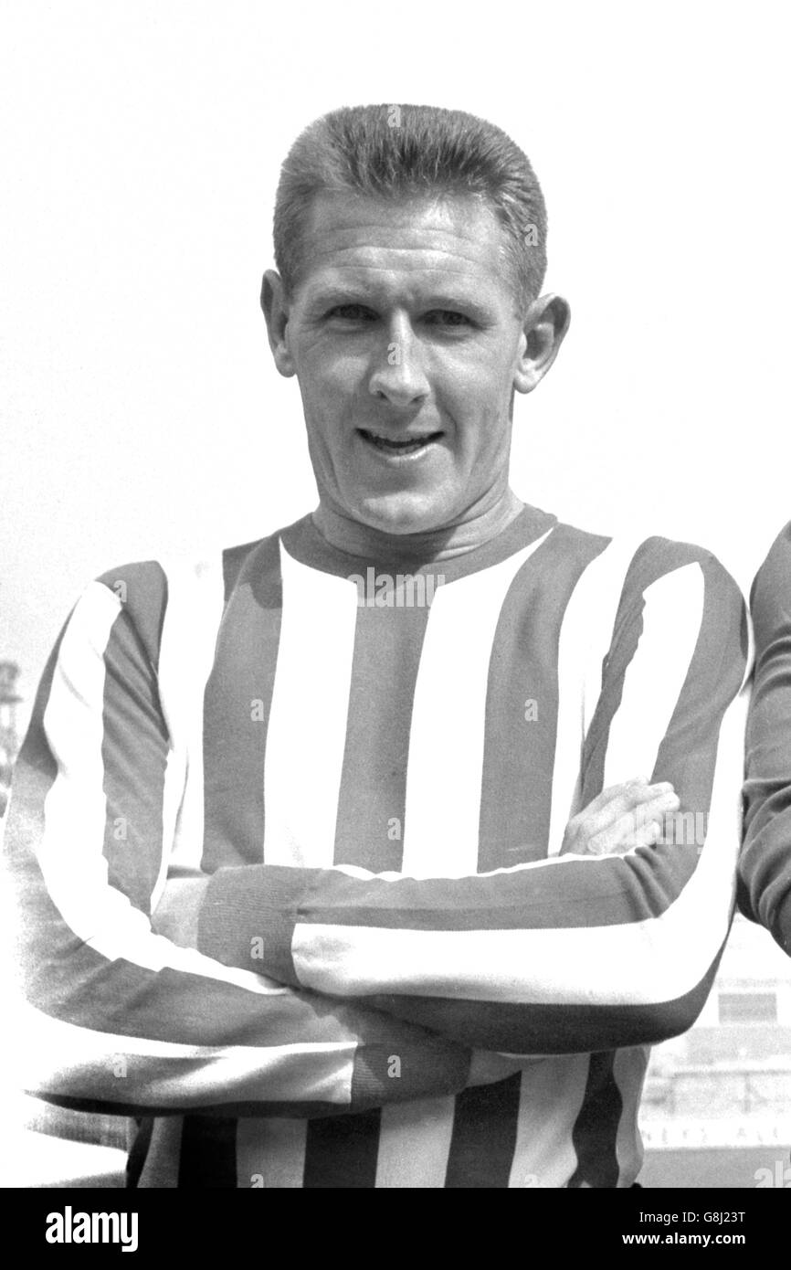 Tony Knapp High Resolution Stock Photography and Images Alamy