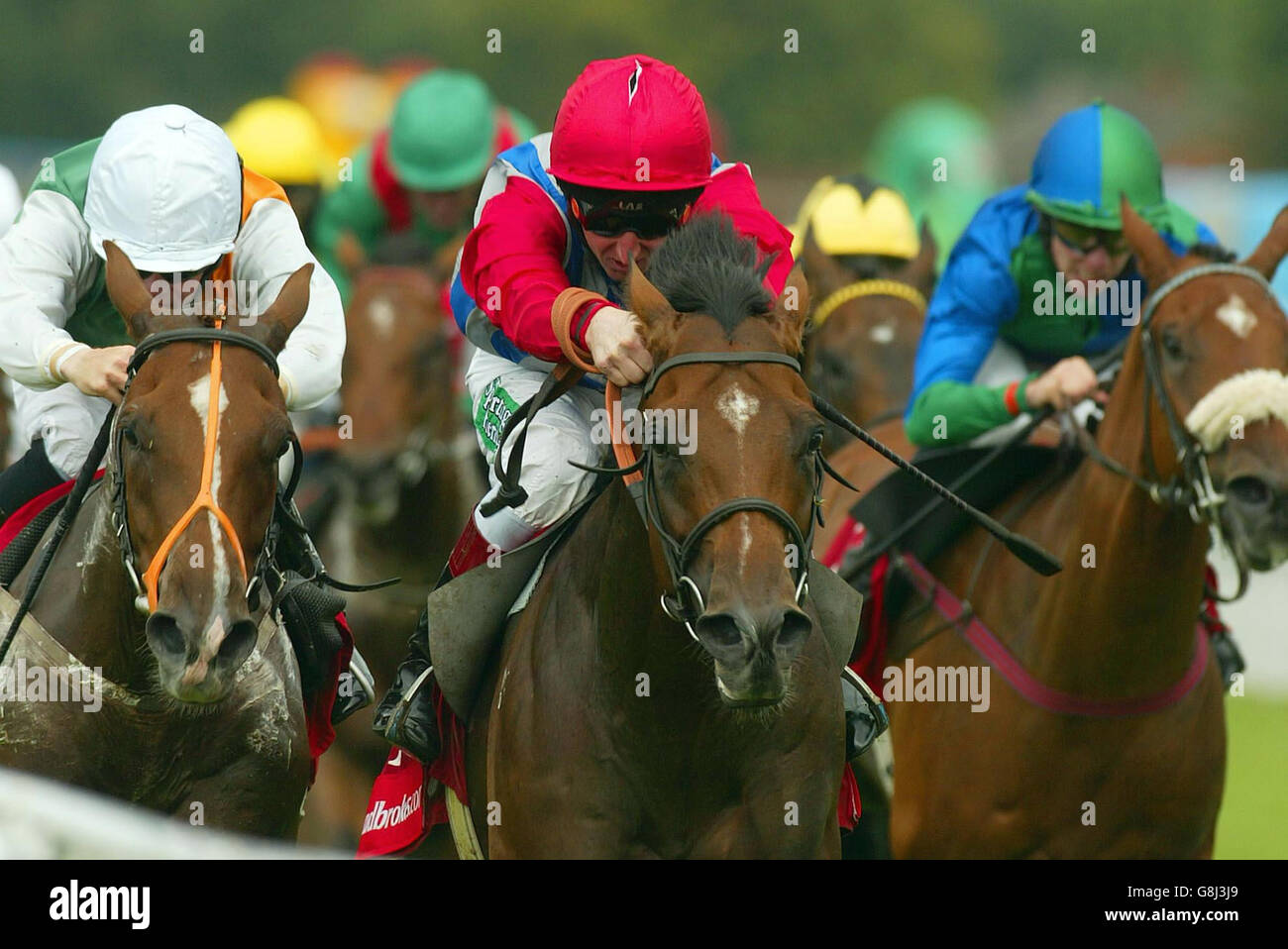 Horse Racing - Glorious Goodwood Festival - Goodwood Racecourse Stock Photo