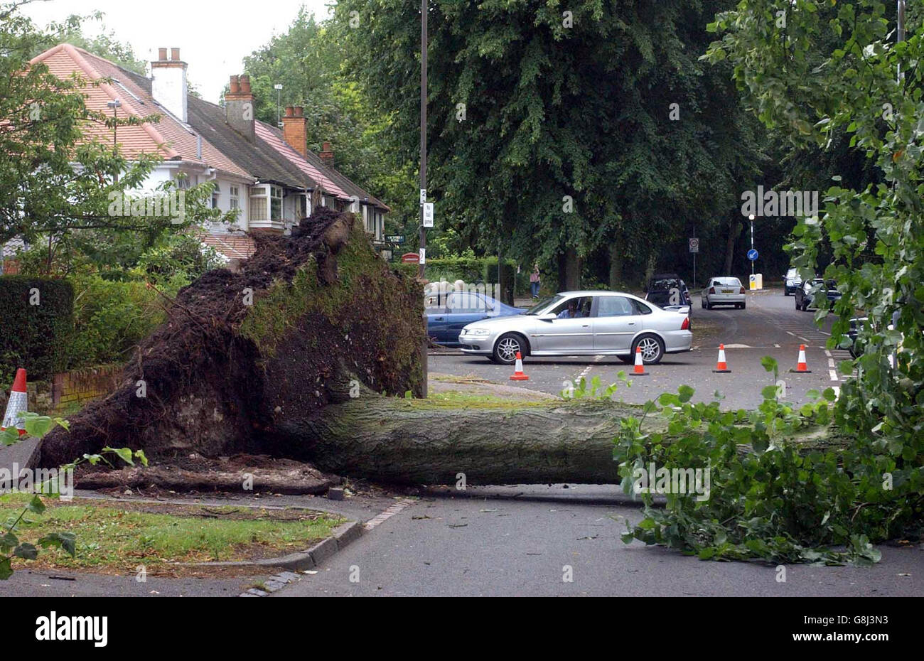 The scene at Billesley Road in Moseley, after at least eight people were injured when a mini-tornado ripped through parts of Birmingham today, uprooting trees and causing extensive damage to buildings. Stock Photo