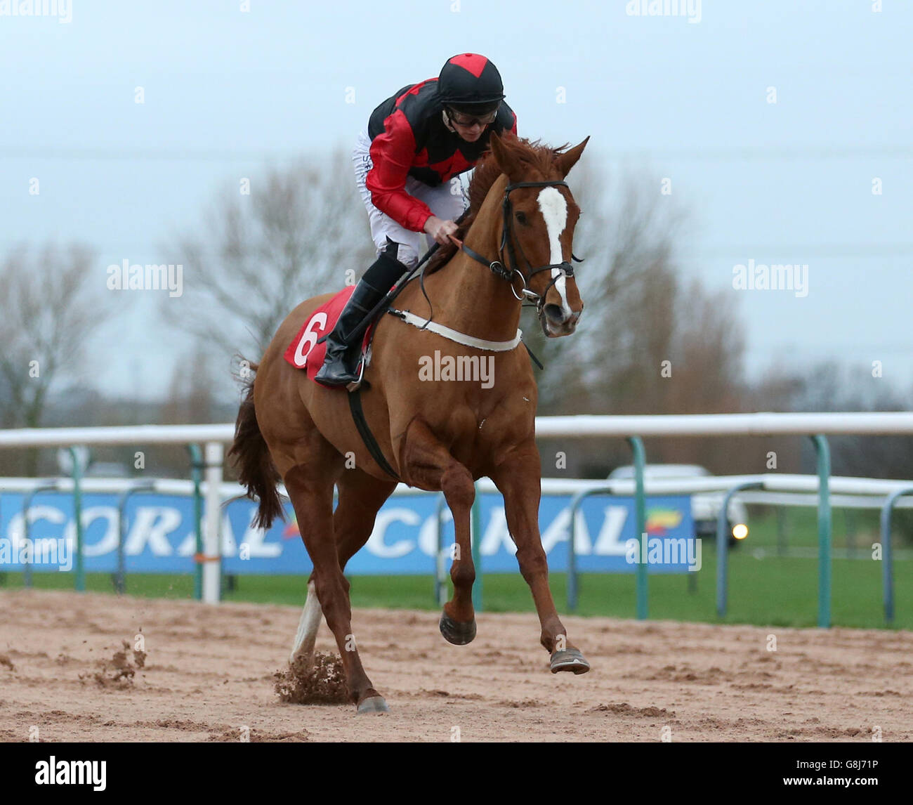 Play Nicely ridden by Phillip Makin wins the Coral Mobile Just Three Clicks to Bet Handicap Stakes at Southwell Racecourse, Southwell. Stock Photo