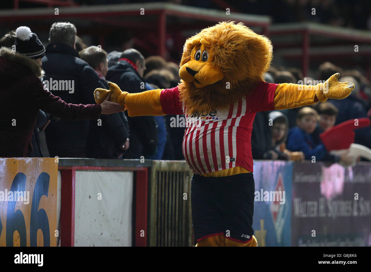 Exeter City club mascot Grecian the Lion celebrates his sides draw with fans during the Emirates FA Cup, third round match at St James Park, Exeter. Stock Photo
