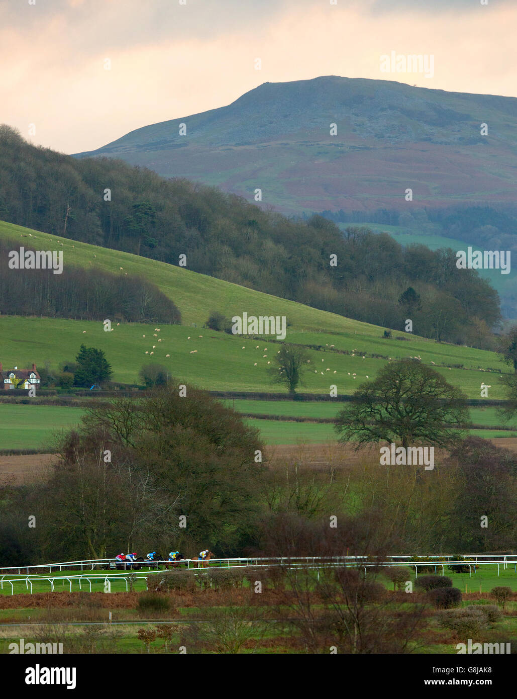 Runners and Riders during The Racing UK Profits Returned To Racing Standard Open National Hunt Flat Race at Ludlow Racecourse, Shropshire. Stock Photo
