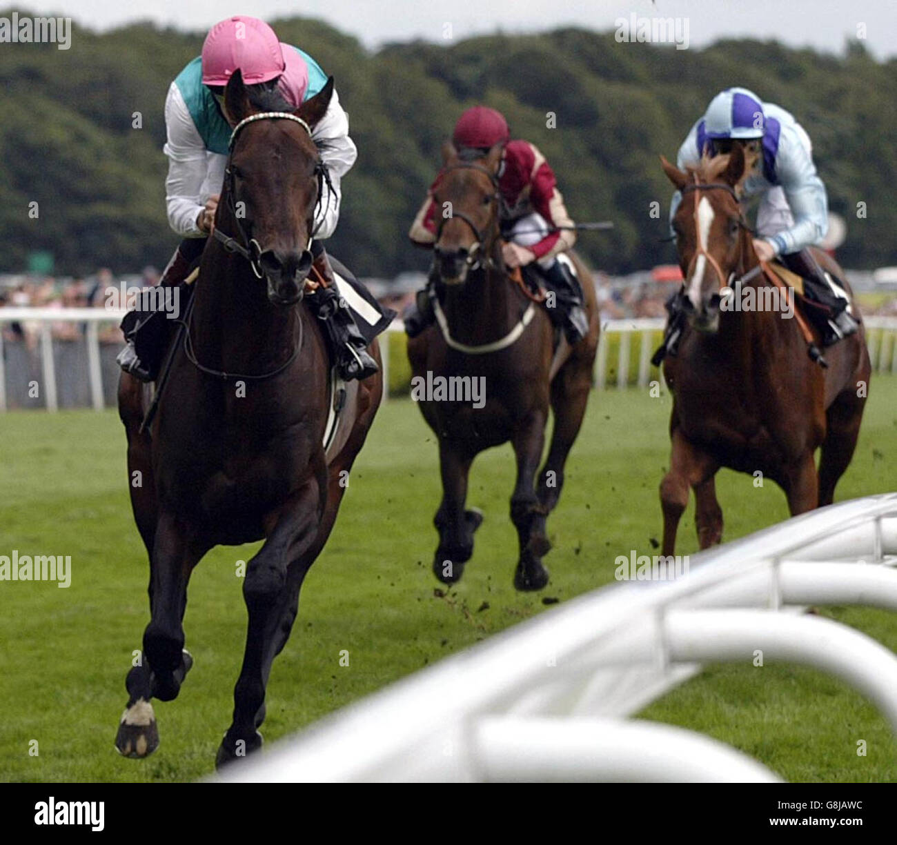 Horse Racing - Petros Rose Of Lancaster Stakes Day - Haydock Park Racecourse. Notable Guest and jockey Richard Hughes wins the Petros Rose of Lancaster Stakes. Stock Photo