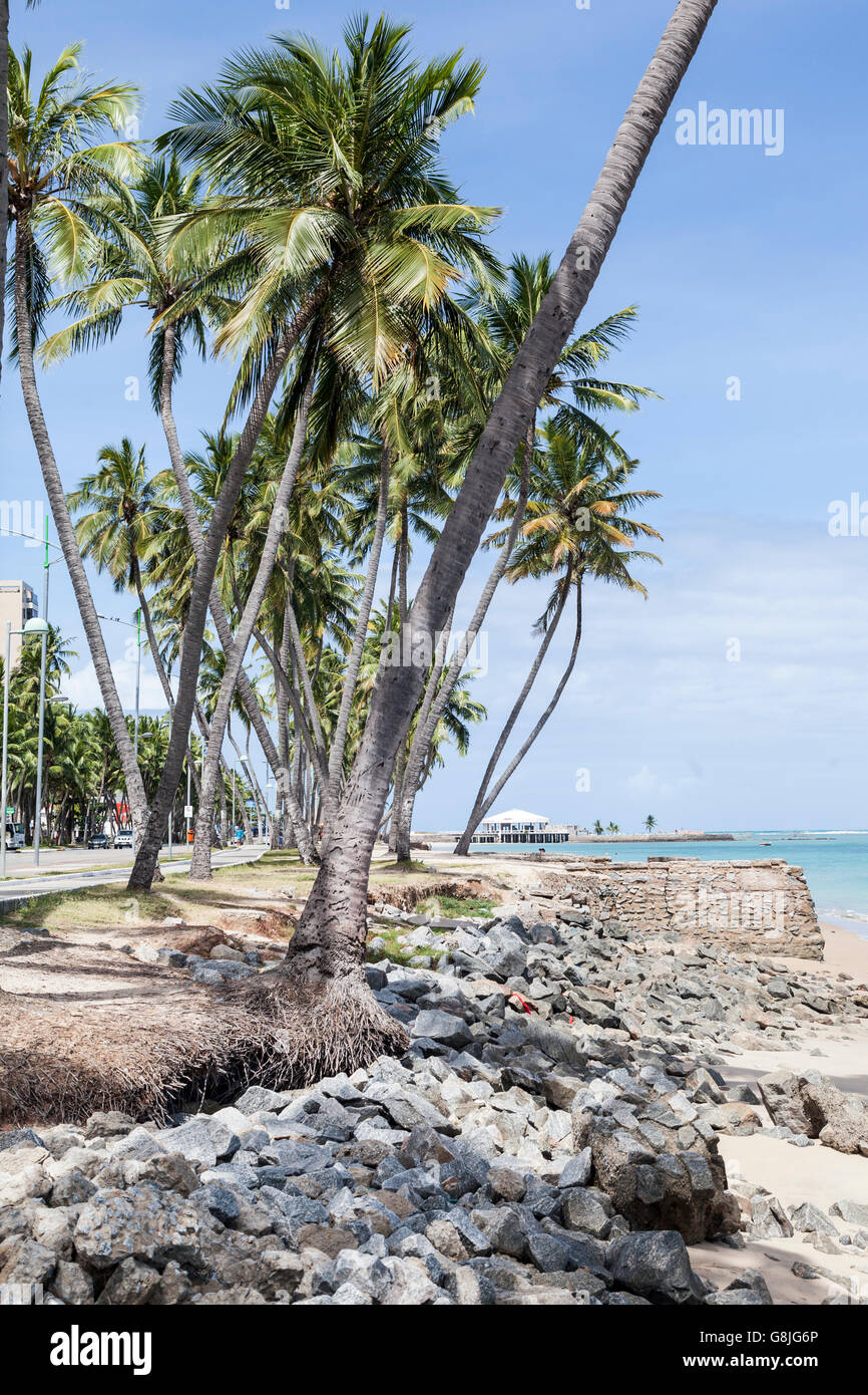 Pajucara Beach Maceio Alagoas Brazil Stock Photo