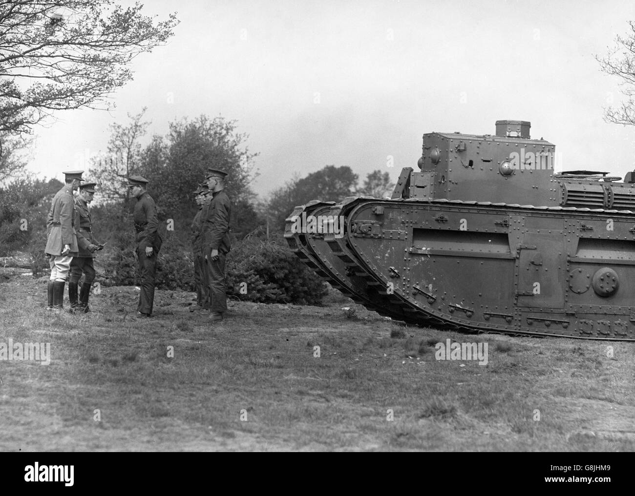 King V Stock Photo Alamy