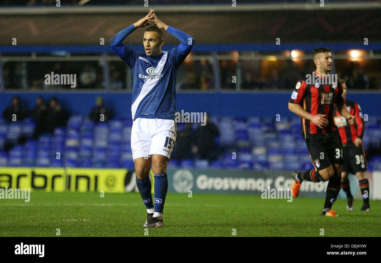 Birmingham City's James Vaughan reacts after missing a penalty during the Emirates FA Cup, third round game at St Andrews, Birmingham. Stock Photo