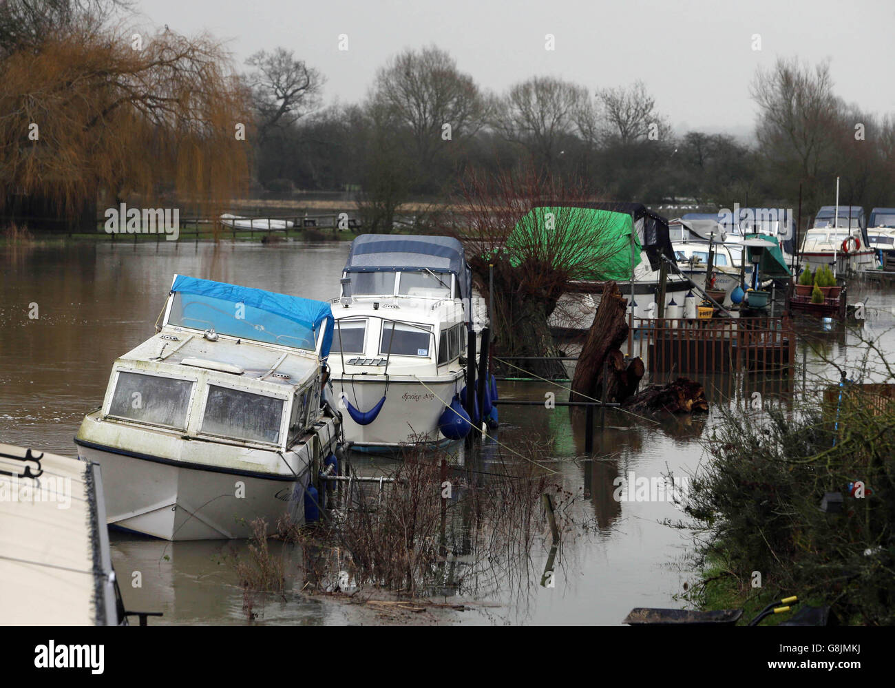 The river Thames has burst its bank at Newbridge West Oxfordshire following heavy rainfall. Stock Photo