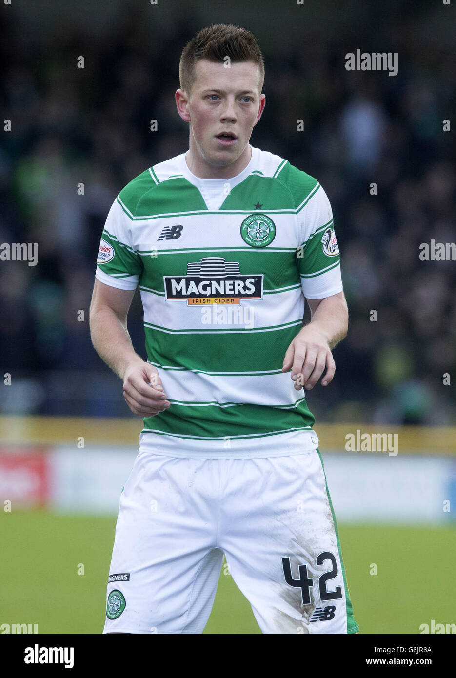 Celtic Callum McGregor during the Ladbrokes Scottish Premiership at Caledonian Stadium, Inverness. PRESS ASSOCIATION Photo. Picture date: Sunday November 29, 2015. See PA story SOCCER Inverness. Photo credit should read: Jeff Holmes/PA Wire.. Stock Photo