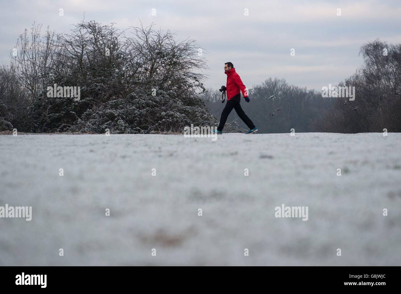 A photographer in Epping Forest, north east London, as Britain awoke to another icy start with a risk of fog affecting the morning rush hour. Stock Photo