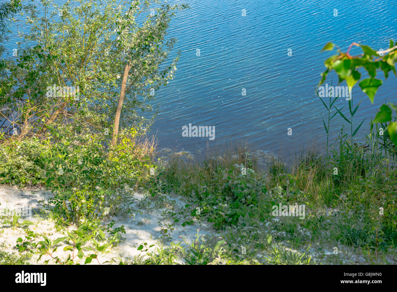 The willow tree by the river Stock Photo - Alamy