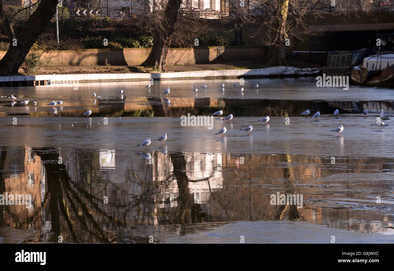 Parts of Regent's Canal in London remain frozen, as Britain awoke to another icy start with a risk of fog affecting the morning rush hour. Stock Photo