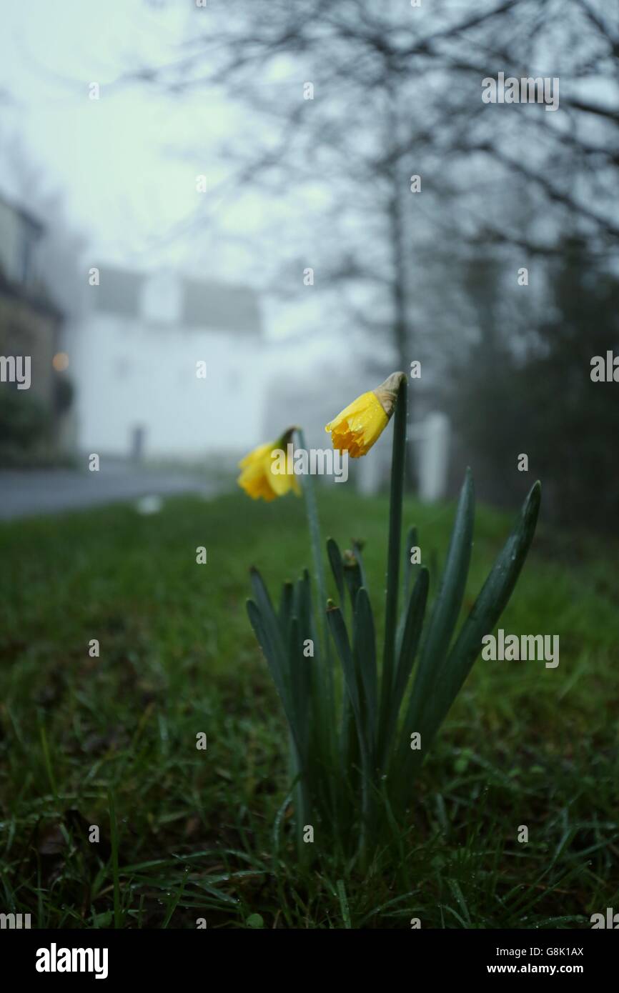 Lingers hires stock photography and images Alamy