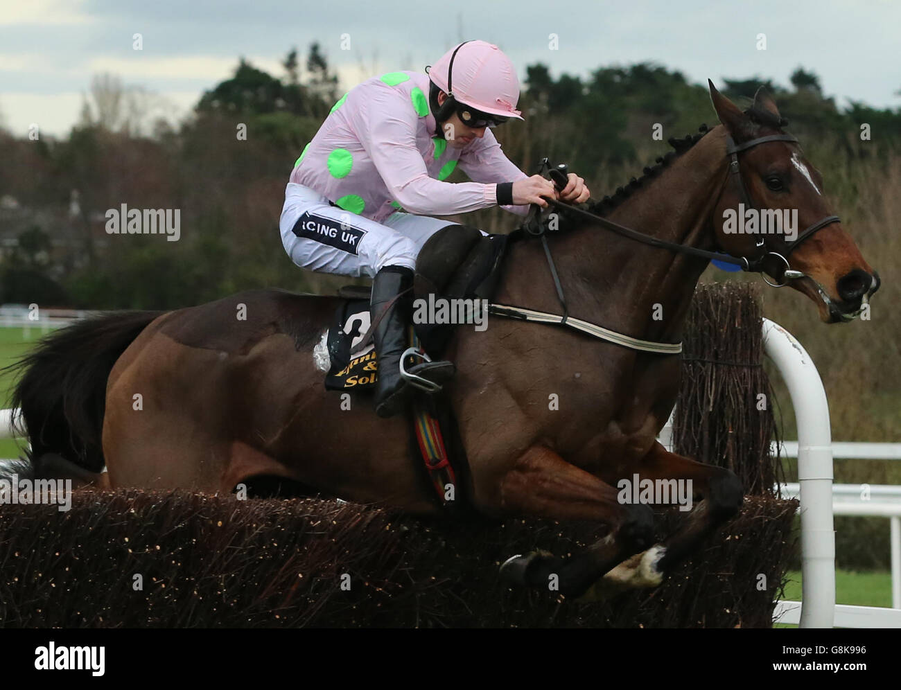 Douvan ridden by Ruby Walsh jumps the last to win The Frank Ward Solicitors Arkle Novice Chase during the BHP Insurances Irish Champion Hurdle day at Leopardstown Racecouse, Dublin. PRESS ASSOCIATION Photo. Picture date: Sunday January 24, 2016. See PA story RACING Leopardstown. Photo credit should read: Niall Carson/PA Wire. Stock Photo