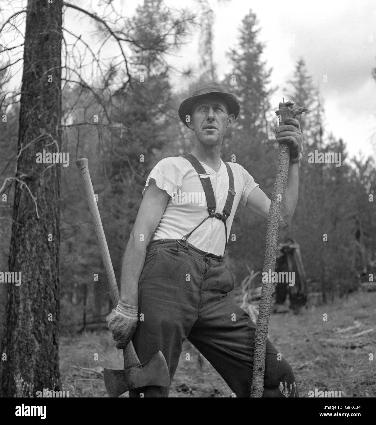 Lumberjack, Malheur National Forest, Grant County, Oregon, USA, Russell Lee, July 1942 Stock Photo