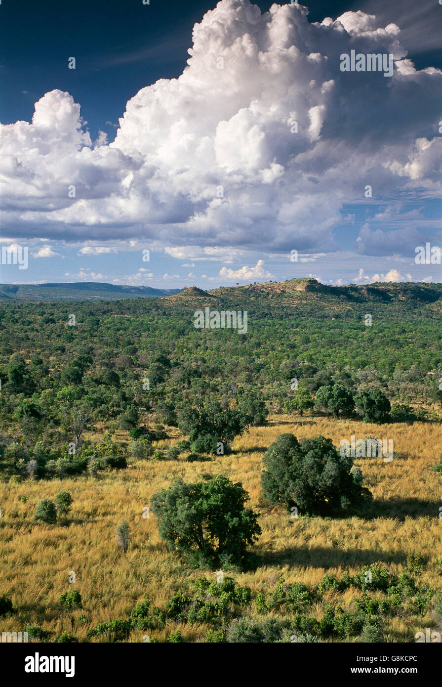 Chizarira interior, Southern Zambezi Escarpment, Zimbabwe. Stock Photo