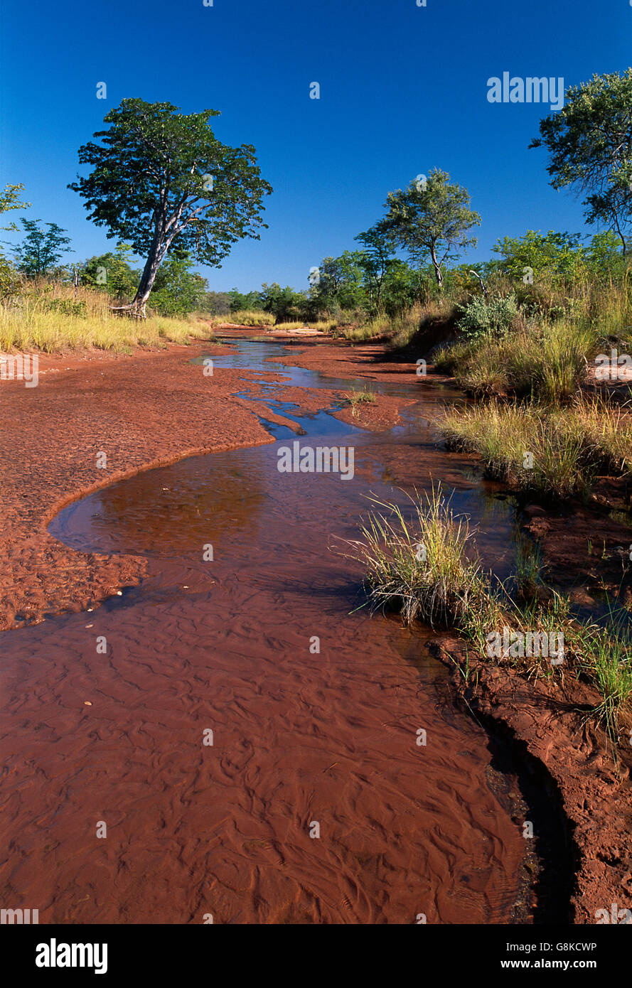 River scene, Matusadona National Park, Zimbabwe. Stock Photo