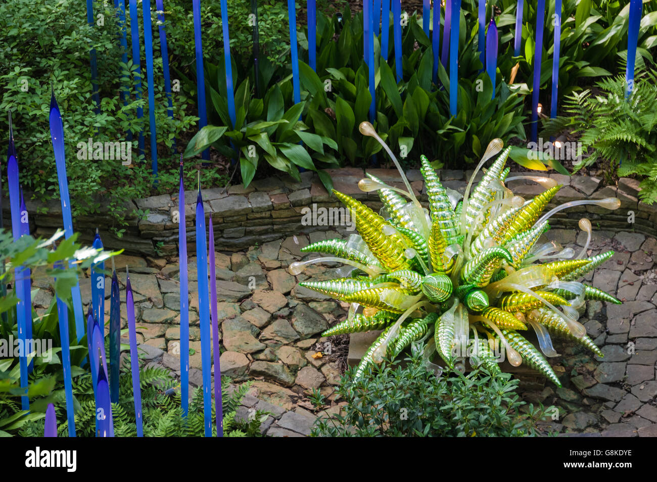 'Green Hornet and Water Drops' with 'Neodymium Reeds' glass sculptures by Dale Chihuly at Atlanta Botanical Garden in Piedmont Park. (USA) Stock Photo