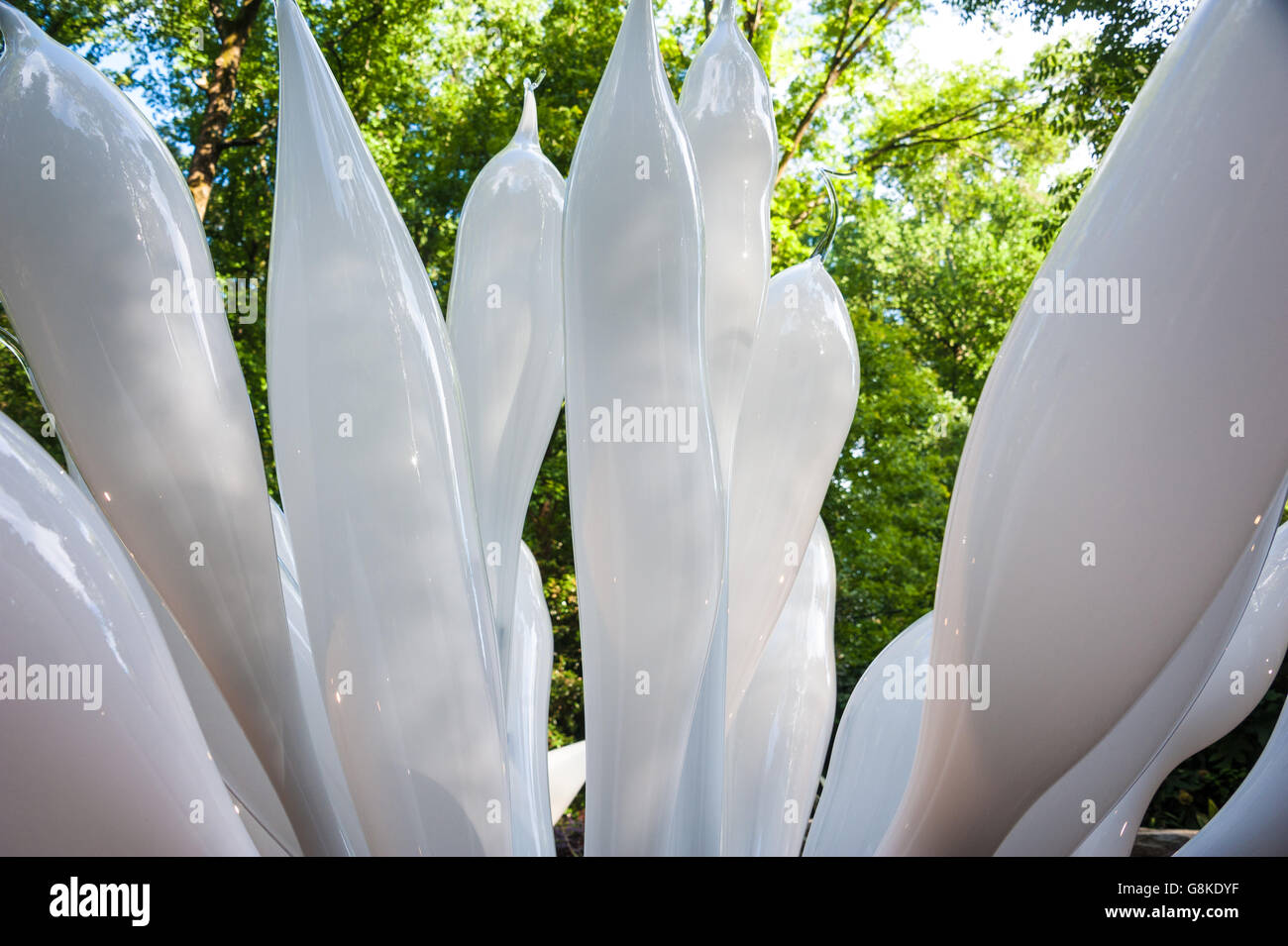 'White Belugas' glass sculpture by Dale Chihuly at Atlanta Botanical Garden's Chihuly in the Garden exhibit. Stock Photo