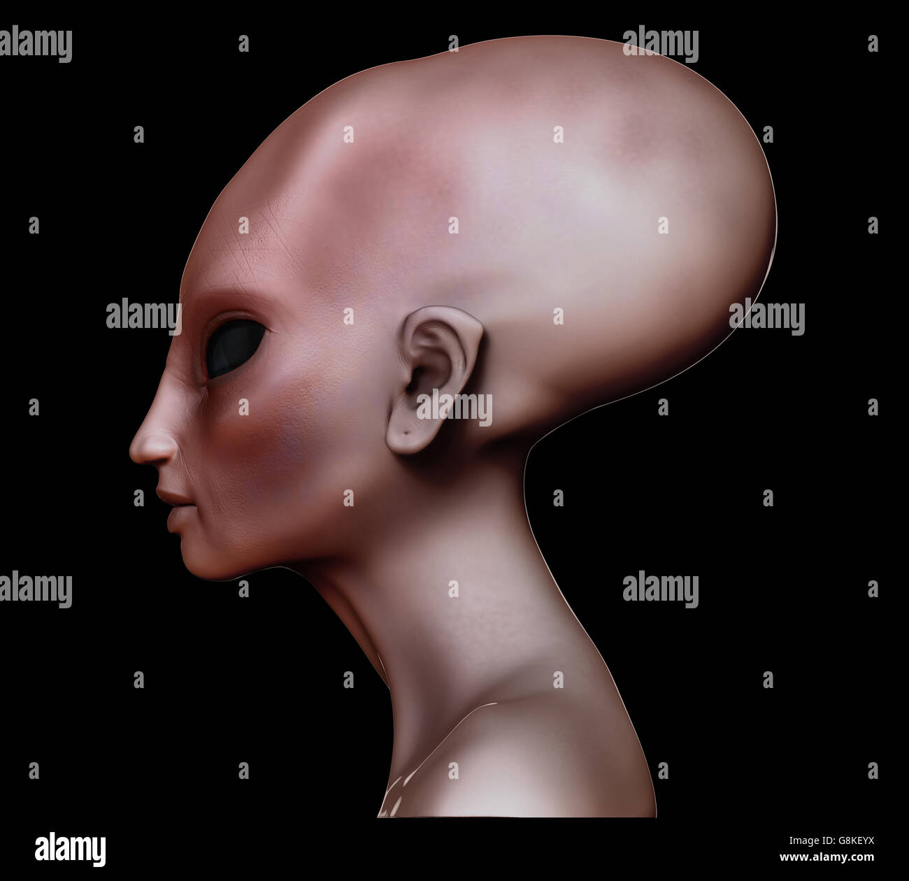Hybrid alien woman elongated head / skull side view. Stock Photo