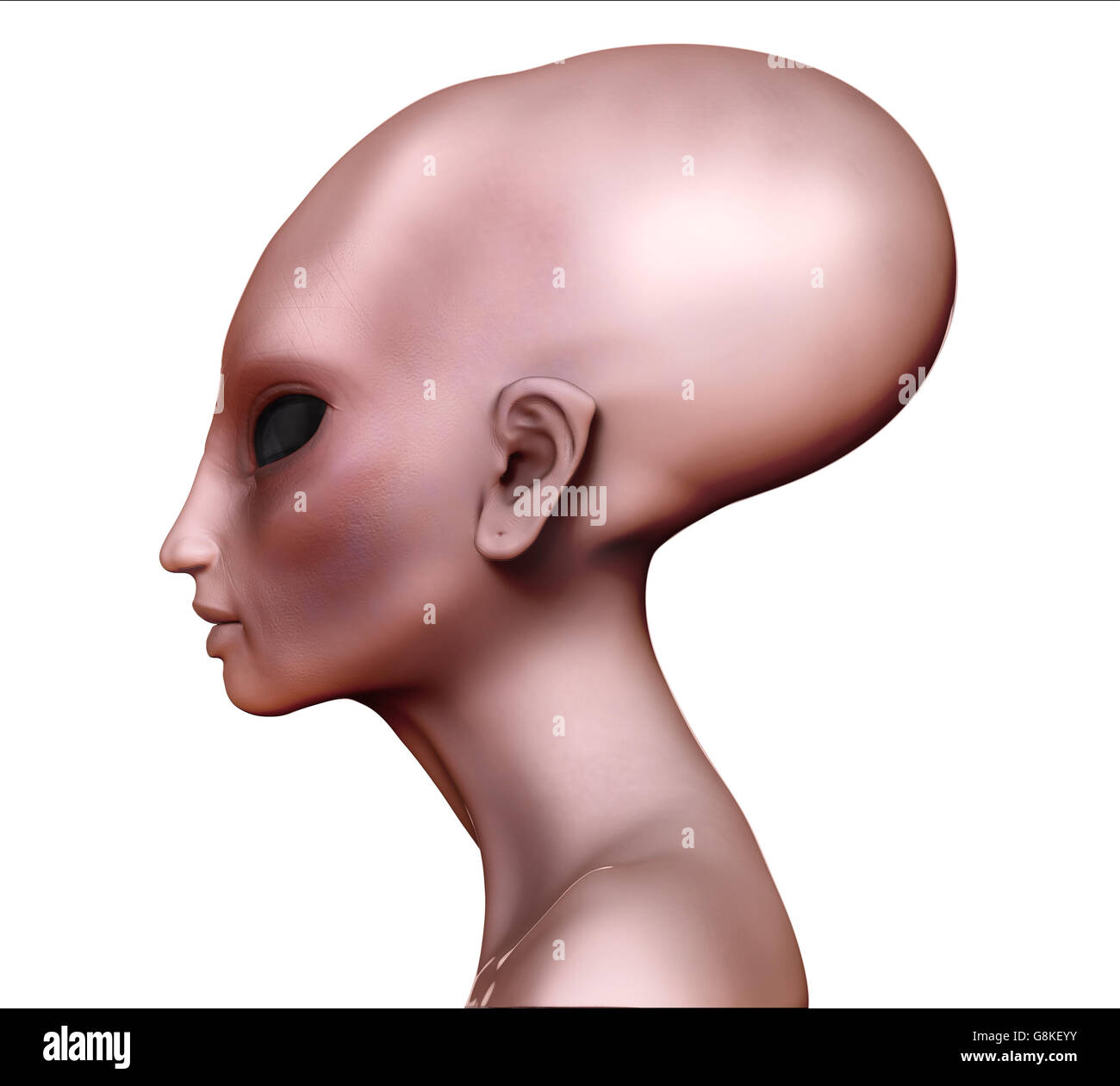 Hybrid alien woman elongated head / skull side view on white. Stock Photo
