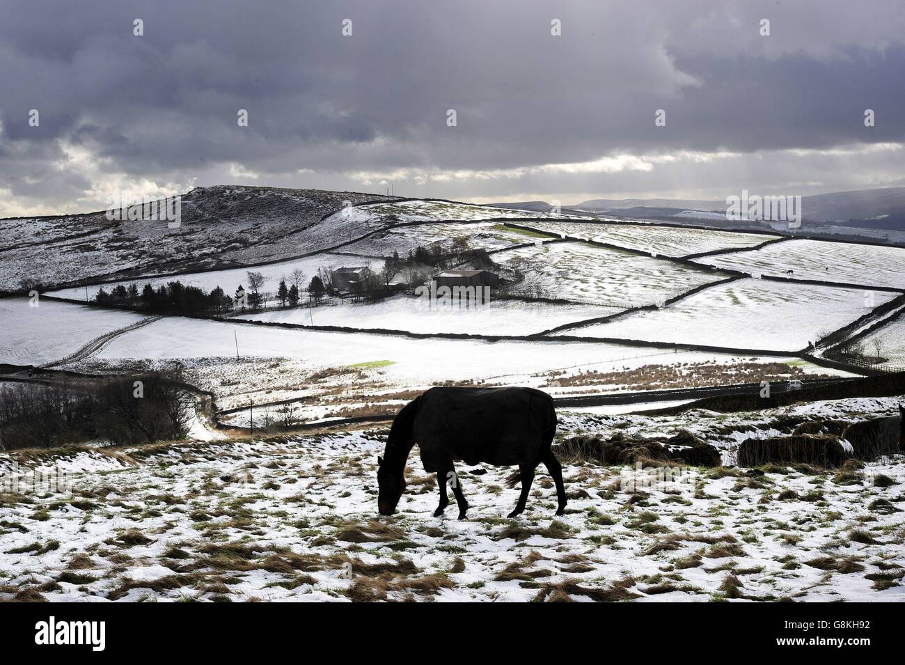 Snowfalls brought wintery conditions back to parts of the UK as overnight snow closed the Snake Pass in the Peak District, Derbyshire, made it difficult for horses foraging for grass on the hilltops between Glossop and Buxton. Stock Photo