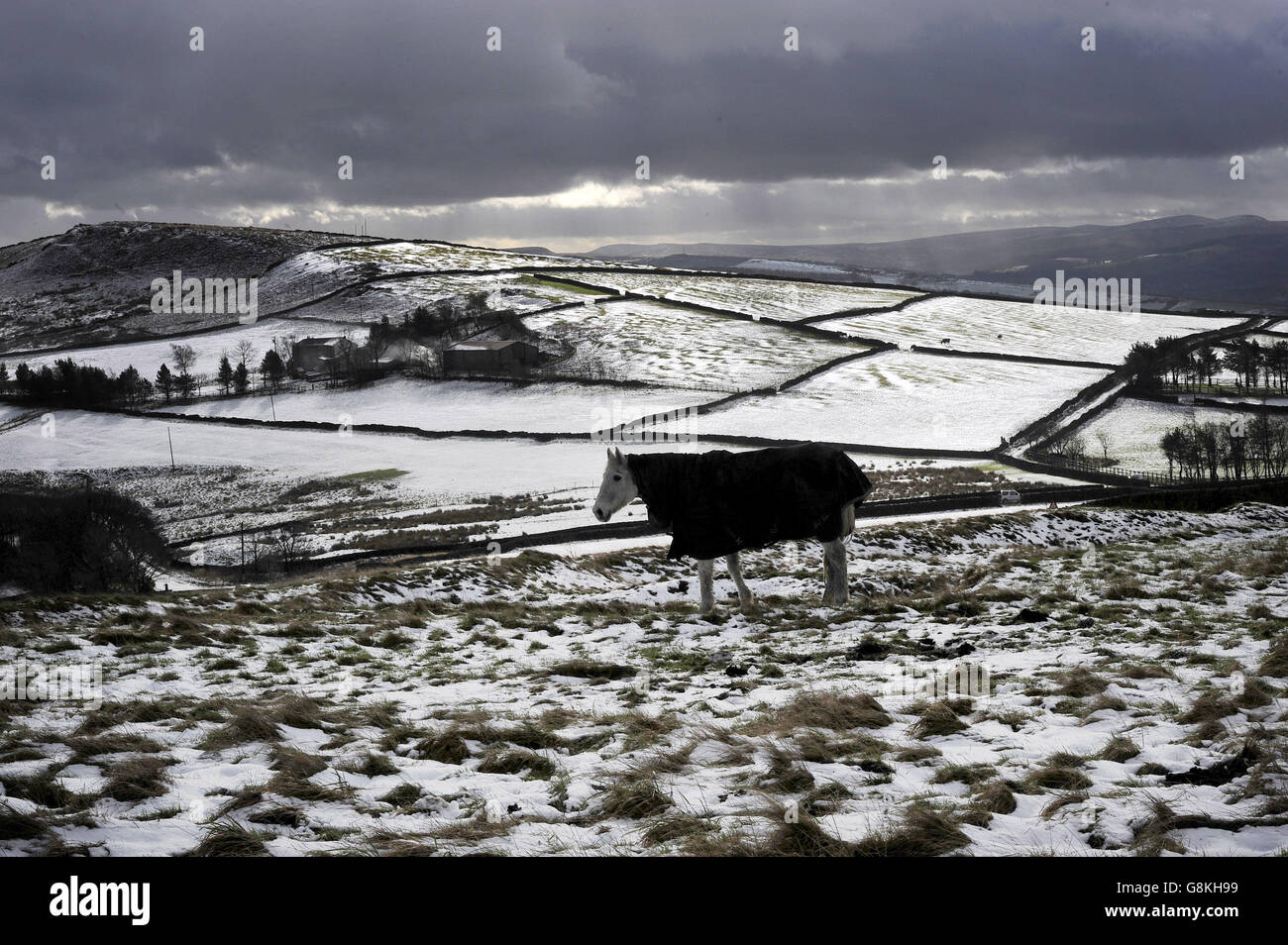 Snowfalls brought wintery conditions back to parts of the UK as overnight snow closed the Snake Pass in the Peak District, Derbyshire, and made a warm coat essential for horses on the hilltops between Glossop and Buxton. Stock Photo