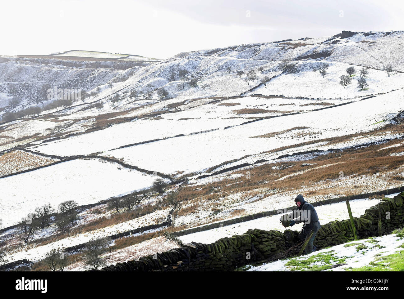 Drystone waller Robert Gregory works on a wall near Buxton in the High Peak District following snowfalls across the area which closed the Snake Pass earlier in the day. Stock Photo