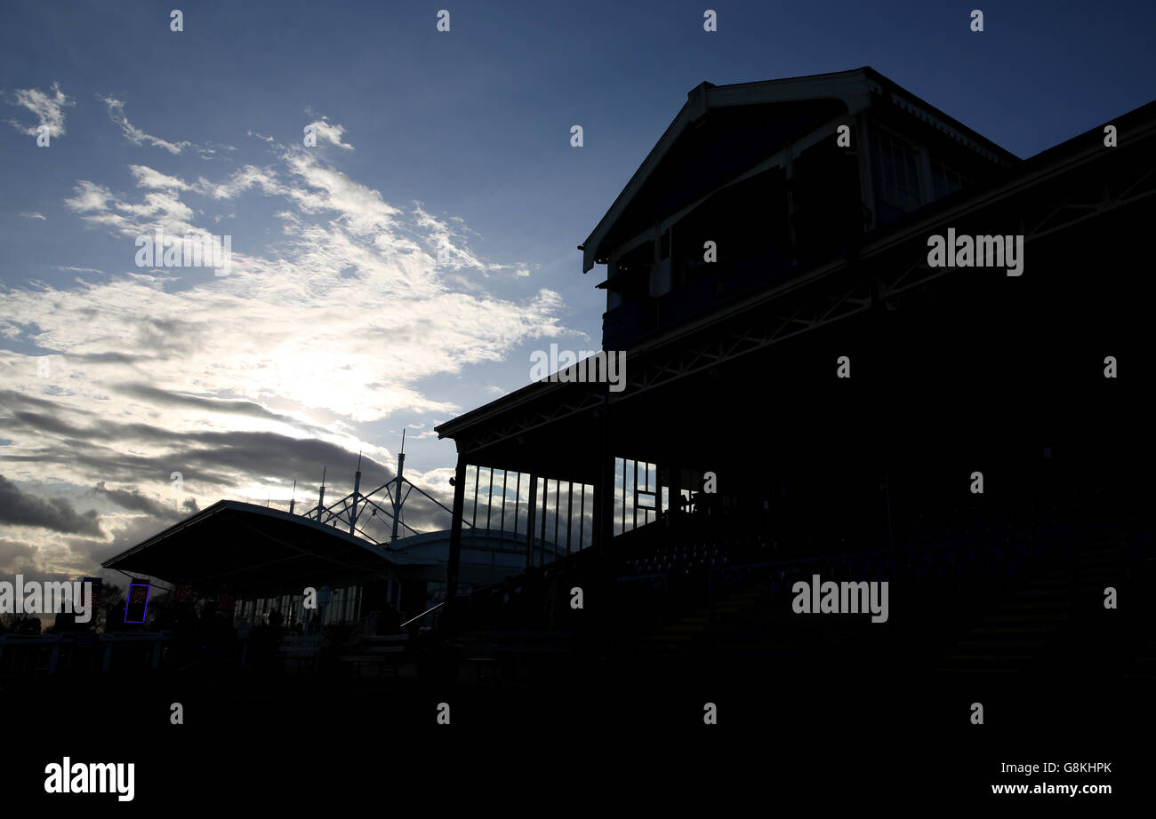 Leicester Races Stock Photo