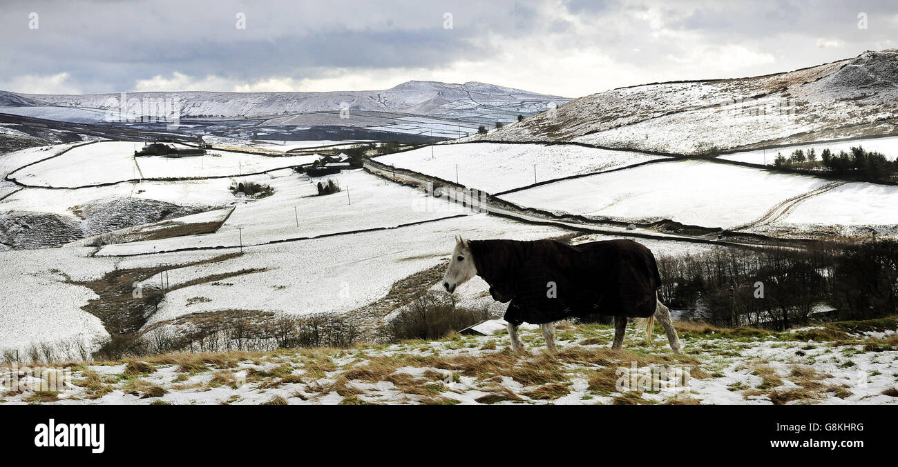 Snowfalls brought winter conditions back to parts of the UK today as overnight snow closed the Snake Pass in the Peak district and made a warm coat essential for horses on the hilltops between Glossop and Buxton. Stock Photo