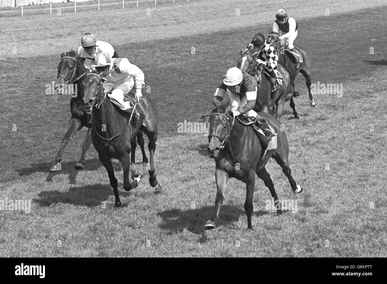 Circus Plume, ridden by Lester Piggott, wins the Oaks Stakes from Media Luna (P Cook) and Out of Shot (P Eddey). Stock Photo